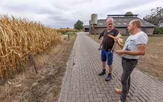 Boer Erwin Nijrolder bekijkt samen met zijn buurman de kurkdroge maïs. beeld APA Foto, Sjef Prins