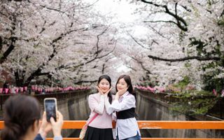 Genieten van de kersenbloesem in Tokio, Japan. Beeld AFP, Yuichi YAMAZAKI