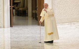 Paus Franciscus. beeld AFP, Andreas Solaro
