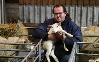 Voor schapenhouder Gerald van den Heuvel uit Herwijnen is de lammertijd de mooiste periode van het jaar. beeld Theo Haerkens