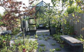 De modeltuin ”Harvesting elements” van Tuinbranche Nederland laat zien van de trend van 2019 is in tuinenland: veel groen. Zelfs in de tegelpaden staan planten. In de kas kunnen mensen zelf hun groente en fruit kweken, een uiting van duurzaamheid. Onder a