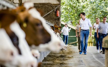 Premier Mark Rutte (m.) krijgt een rondleiding door een koeienstal tijdens een bezoek aan een boerderij in de Peel, waar hij met boeren sprak over de stikstofplannen. beeld ANP SEM VAN DER WAL