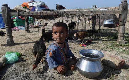 Slachtoffers van de overstromingen in Pakistan zijn gevlucht naar drogere gebieden. beeld AFP