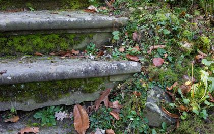 Uit ”Rusteloze grond” wordt duidelijk hoe sterk bepalend een kansarme omgeving is en hoe moeilijk het is om een geschiedenis van achterstand te herschrijven. beeld RD, Anton Dommerholt