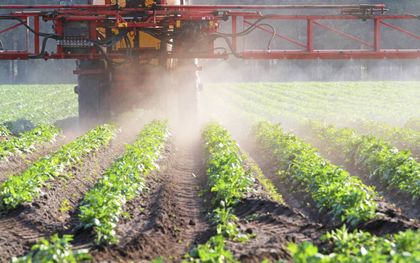Landbouwbestrijdingsmiddelen zijn vaak giftig voor de substantia nigra, een zwarte kern bovenin de hersenstam. beeld iStock