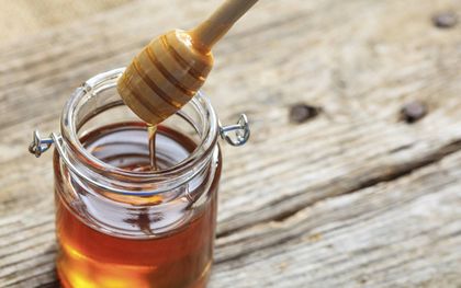 Honing. beeld iStock