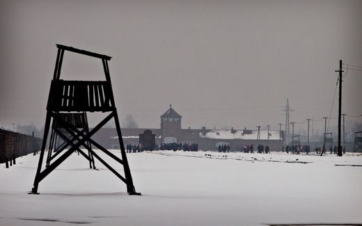 Kamp Auschwitz. beeld EMG