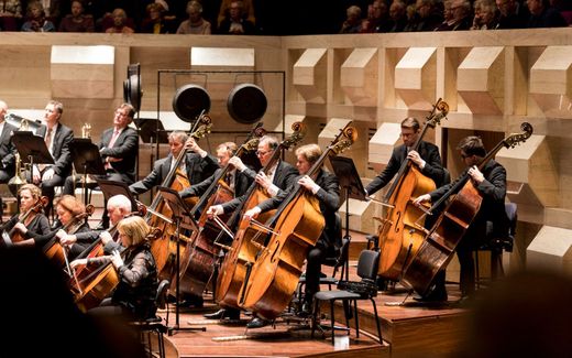 Het Rotterdams Philharmonisch Orkest. beeld Guido Pijper