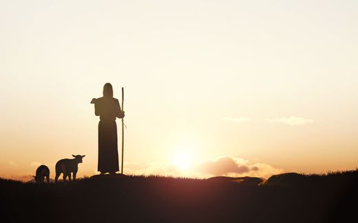 „Geen enkele schaapherder in Israël hield zijn kudde voor de romantiek. Toch werd de zorg van een goede herder het beeld van Christus’ zorg voor Zijn gemeente.” beeld iStock