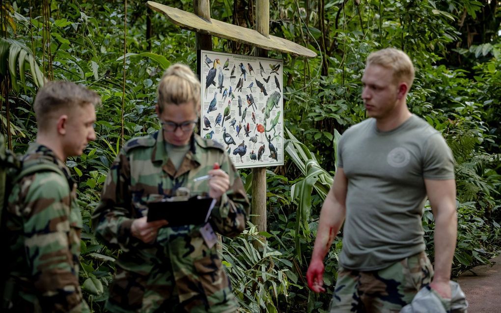 Mariniers trainen in Burgers Zoo. beeld ANP, Robin van Lonkhuijsen