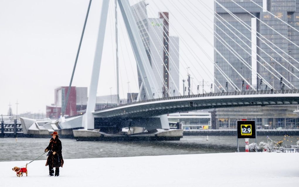 Zuid-Holland en Zeeland terug naar code geel • Ook donderdag rijden minder treinen door winterweer