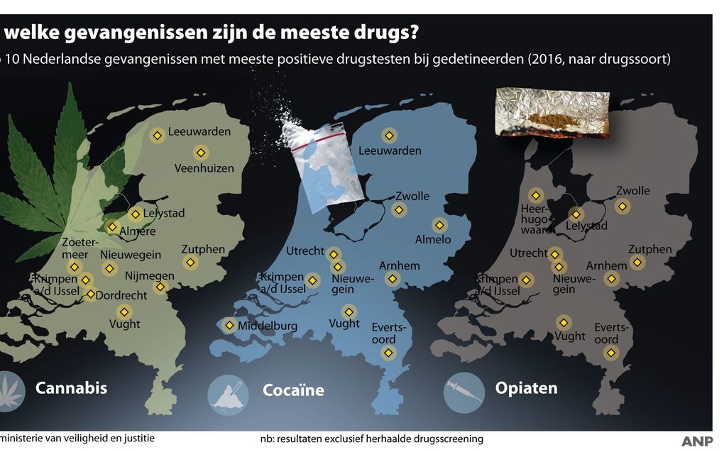 Infographic ANP