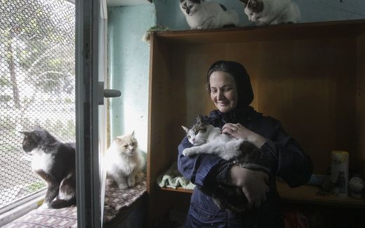 Een non zorgt in Odessa voor de katten van het klooster. beeld EPA, STEPAN FRANKO