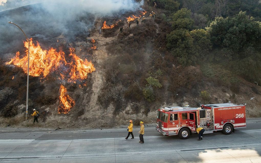 Brandweermannen houden een stuk brandende natuur in Newhall, Californië in de gaten. beeld AFP