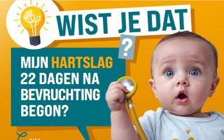 Poster met een baby en de tekst: ”Wist je dat mijn hartslag 22 dagen na bevruchting begon?”