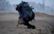 Storm Ciara maakte het deze wandelaarster op het strand van Scheveningen niet makkelijk. beeld ANP