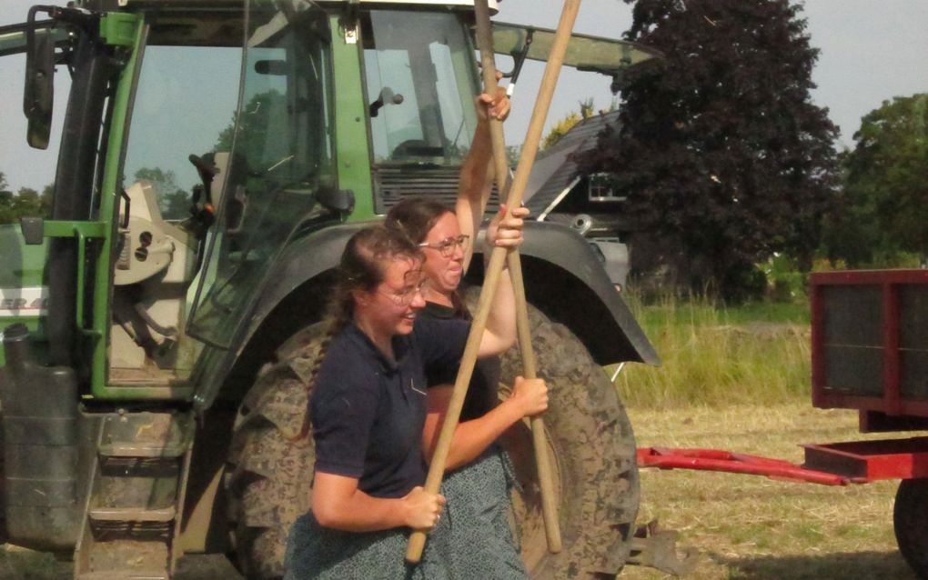 Jorine van Tuijl (vooraan) en haar aanstaande schoonzus Jorieke van Genderen aan het hooien. beeld Jobertine van Tuijl