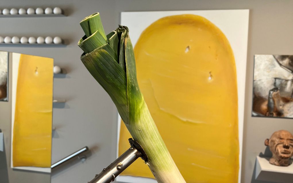 Likkebaarden in Lisse