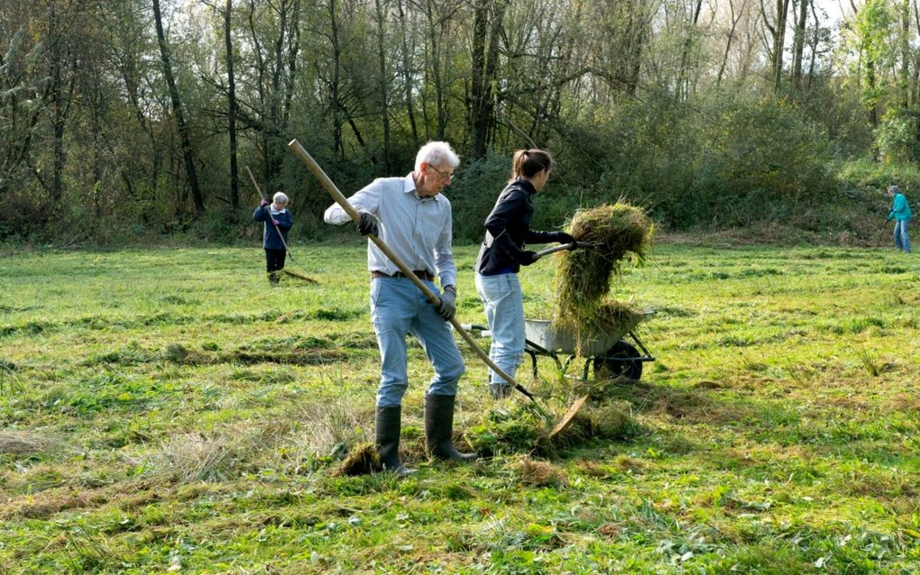 Het maaien van hooiland met afvoer van het maaisel biedt kans aan wilde bloemen. beeld Beeldbank van de Leefomgeving, Sjon en Willy Heijenga