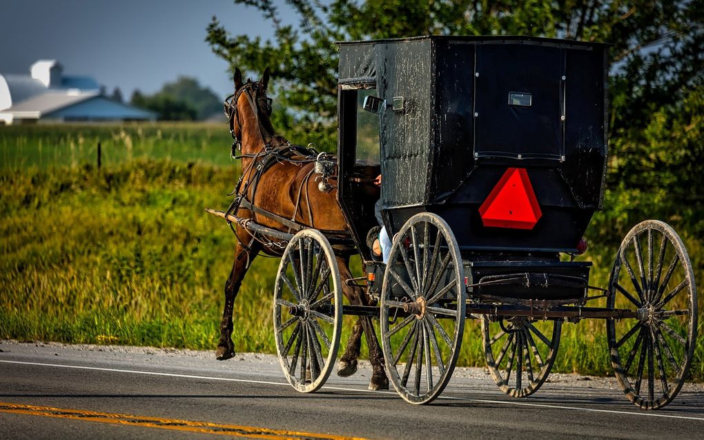 Een zwarte buggy (koetsje) van Amish, met een rode gevarendriehoek. De Swartzentrubers, de meest conservatieve groep Amish in de Verenigde Staten, weigeren licht te voeren. beeld amishdepot.com 