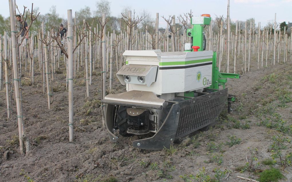 De schoffelrobot is er al. beeld Hortipoint