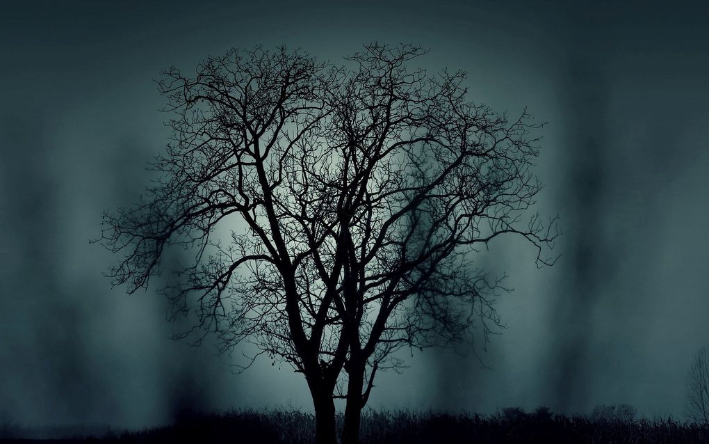 De Bijbel geeft aan dat achter de afgoden demonische krachten werken. beeld Unsplash/Pixabay