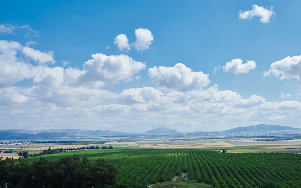 Groene velden, met op de achtergrond bergen.