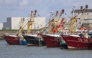 Een rij viskotters ligt in de haven.