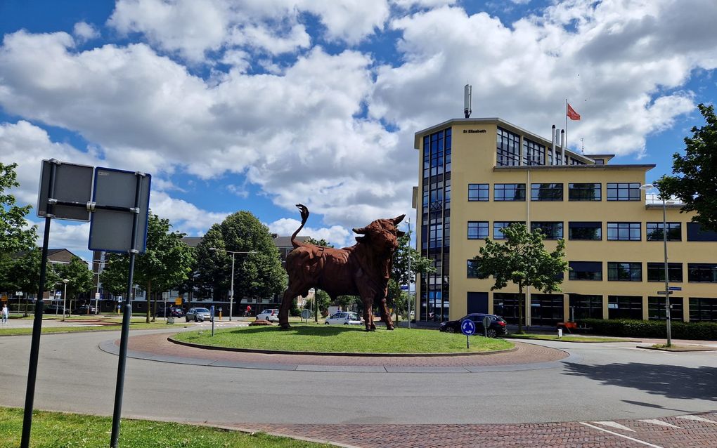 Rotonde De Stier in Amersfoort is voor Turkse voetbalsupporters uit de Keistad middelpunt van de vreugde na een gewonnen wedstrijd. beeld RD