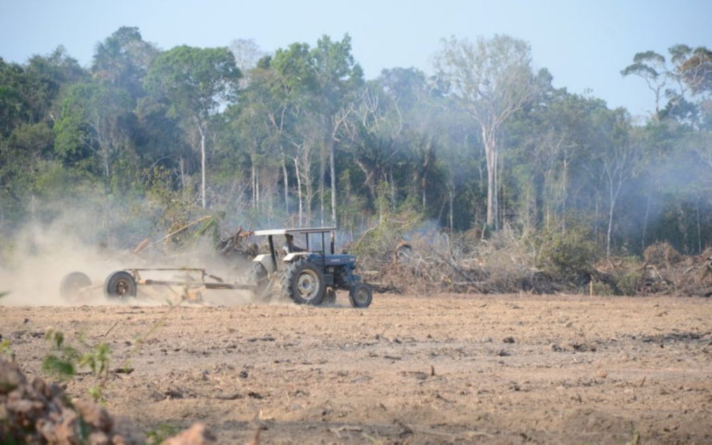 Een oude tractor is bezig grond om te ploegen. Bomen liggen tegen de vlakte.