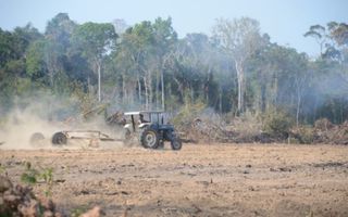 Een oude tractor is bezig grond om te ploegen. Bomen liggen tegen de vlakte.