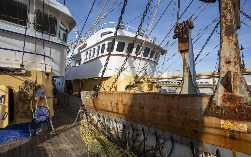 De bemanning van de UK33 prepareert het schip voordat het uitvaart. De UK33 had een vergunning om de pulstechniek bij het vissen te mogen gebruiken. beeld ANP,  NIELS WENSTEDT