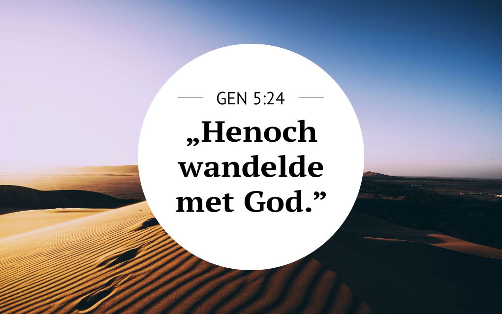 Meditatie | Ootmoedig wandelen | Genesis 5:24. beeld RD