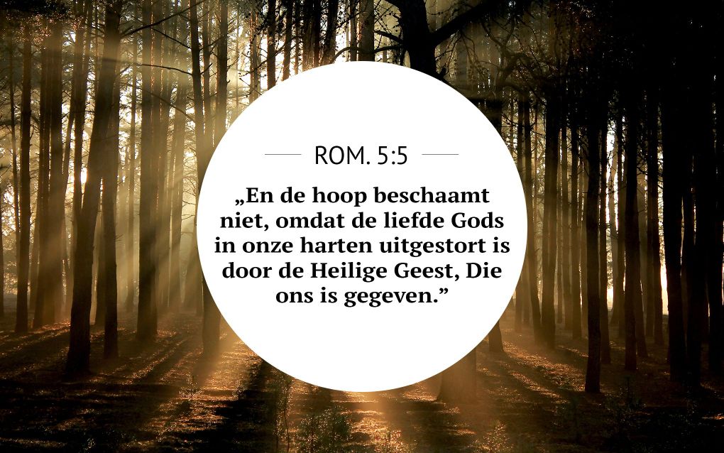 Meditatie | Romeinen 5:5 | Hoop. beeld RD