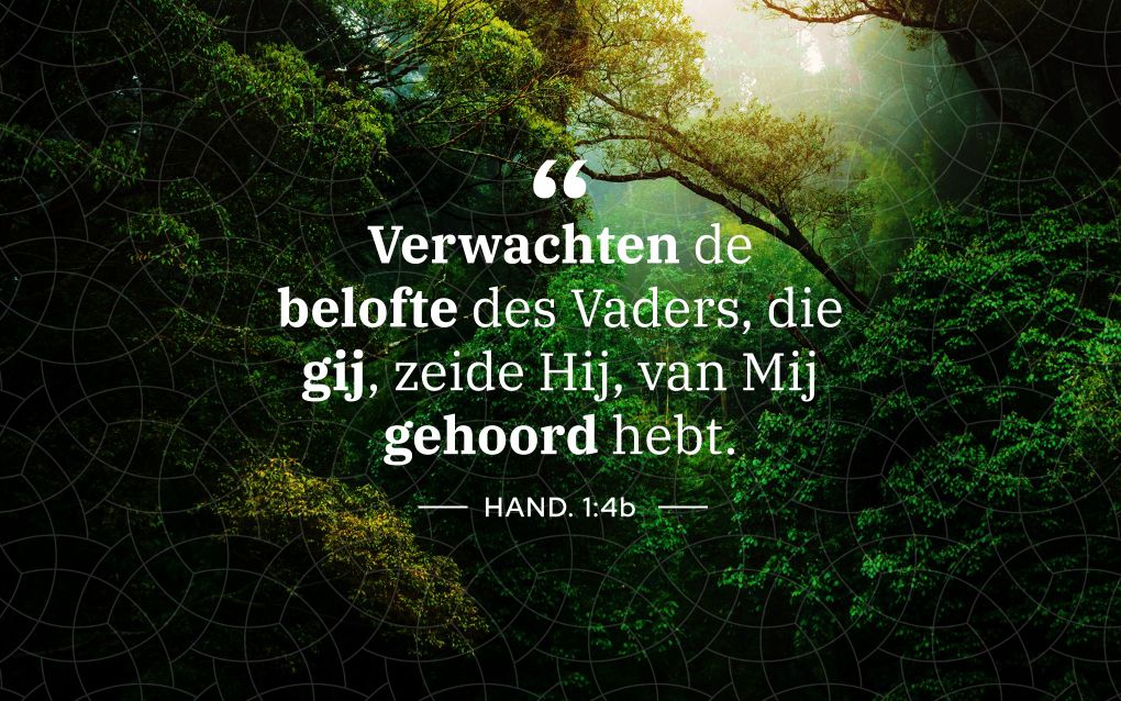 Meditatie | Verwachten | Handelingen 1:4b. beeld RD