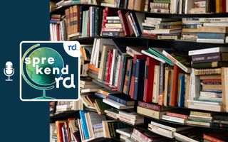 Stapels boeken op planken.