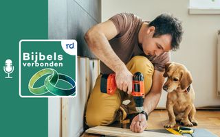 Mand die een een boor een schroef in een plank schroeft met naast hem een hond 