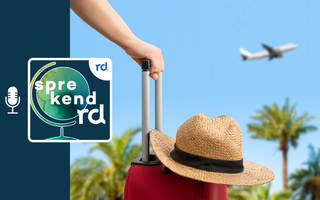 Hoed op koffer die wordt vastgehouden door een hand met op de achtergrond een blauwe lucht, palmbomen en een vliegtuig