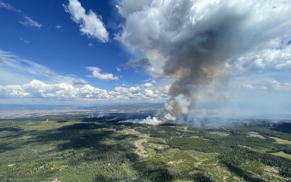 Bosbranden eerder dit jaar in Canada. beeld AFP, Handout, BC Wildfire Service