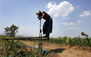 Donkere gestalte op een waterpomp op een akker met groen gewas