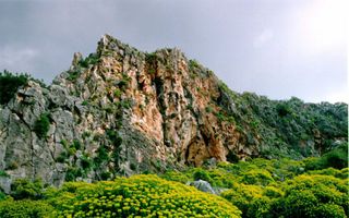 Een rotspartij van het Karmelgebergte, in Noord-Isra&euml;l, met op de voorgrond bloemrijke struiken.