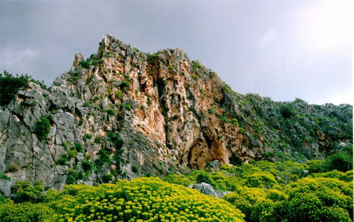 Een rotspartij van het Karmelgebergte, in Noord-Isra&euml;l, met op de voorgrond bloemrijke struiken.