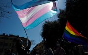De transgendervlag. beeld AFP, Valery Hache
