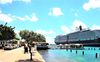 Bonaire kampt met ruimtegebrek in de haven. Grote cruiseschepen concurreren met de koopvaardij die Bonaire bevoorraadt. Op de foto de ”Noordam” van de Holland-Amerika Lijn (HAL). beeld Marius Bremmer