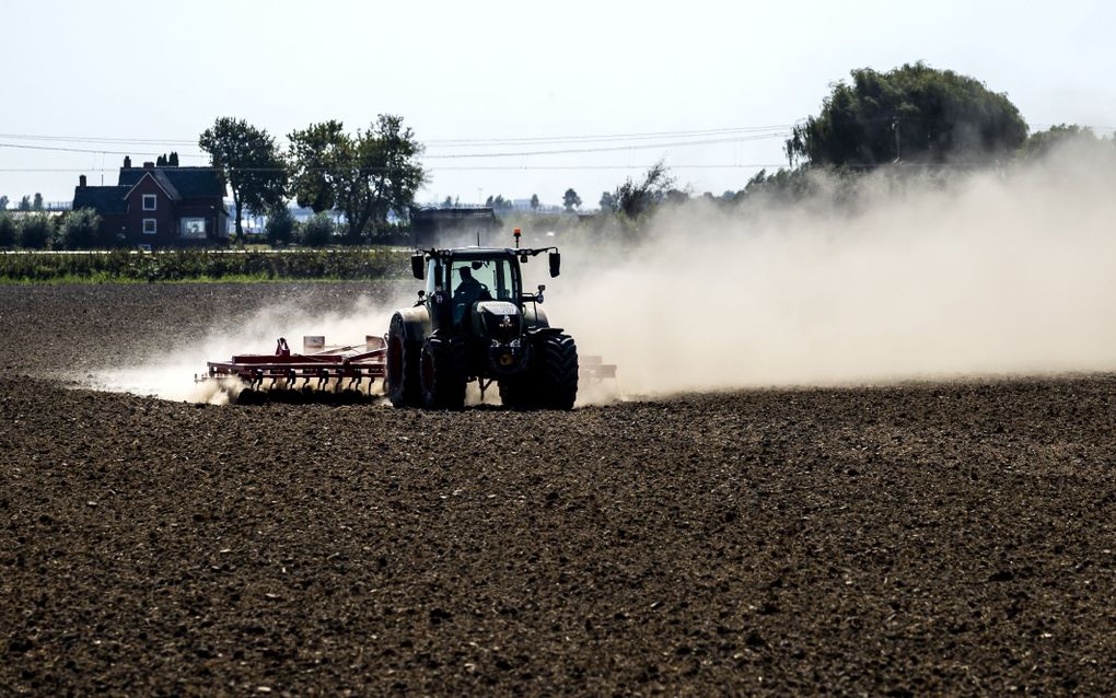 Een boer ploegt zijn droge akker nabij Zevenbergschen Hoek. beeld ANP, Remko de Waal