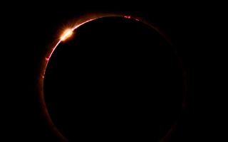 Terwijl de maan tijdens een totale zonsverduistering in Noord-Amerika voor de zon langs beweegt, schieten de zonnevlammen goed zichtbaar de ruimte in. beeld AFP, Josh Edelson