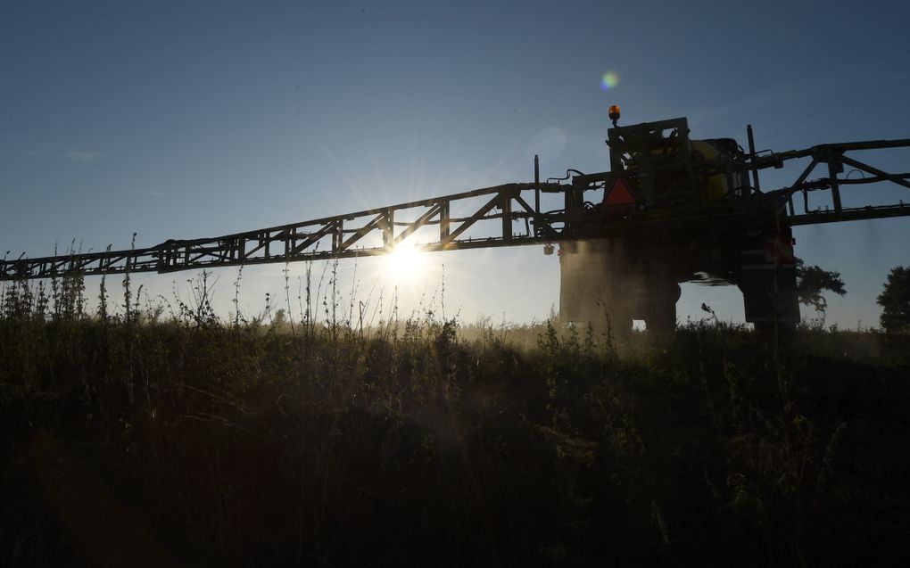 Een boer bespuit een akker met de onkruidverdelger glyfosaat. Waakhond Ctgb wil de regels voor toetsing van onderzoek naar de kans op kanker bij het gebruik van pesticiden aanscherpen. beeld AFP, Jean-François Monier