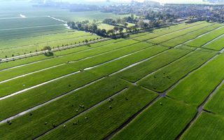 Luchtfoto van uitgestrekte groene weiden waarop koeien grazen, gescheiden door sloten, met op de achtergrond bebouwing.
