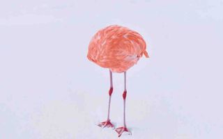 Flamingone. beeld Miles Astray