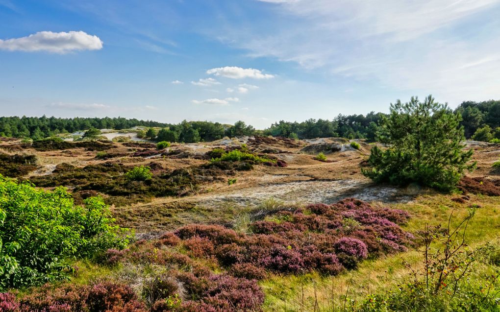 Schoorl biedt volop variatie in uitzicht